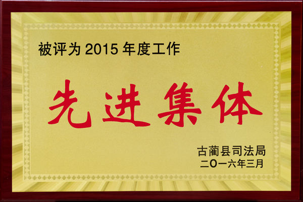 荣获2016年先进集体