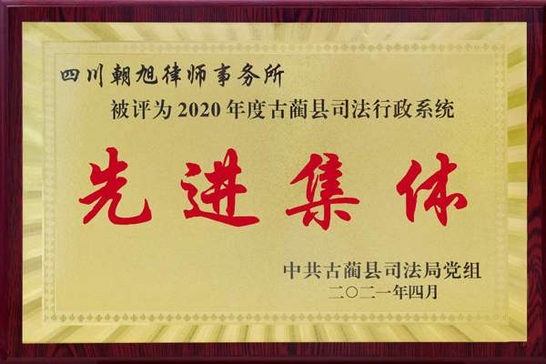 荣获2020年先进集体