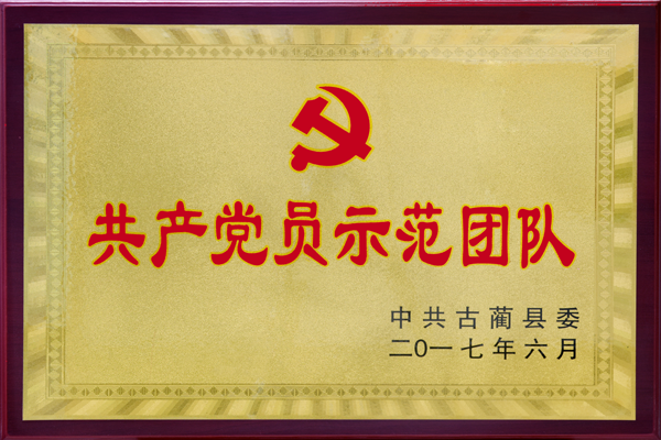 共产党员示范团队