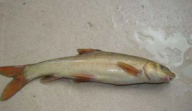 640_wx_fmt=jpeg (2).jpg